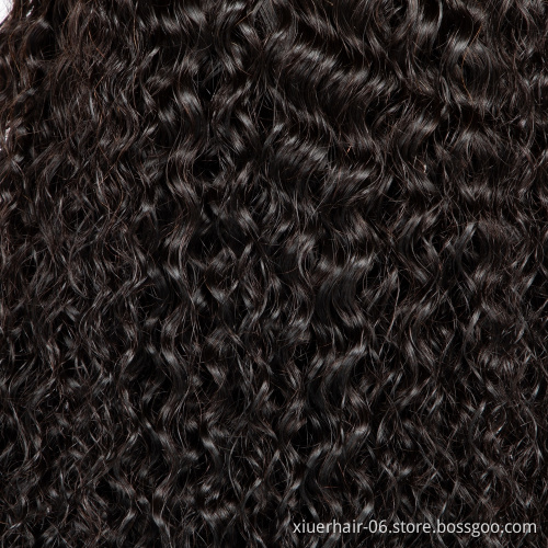 13X6 13X4 Lace Frontal Curly Wigs Natural Brazilian 100% Virgin Human Hair Pre Pluck Hd Lace Front Wigs For Black Women